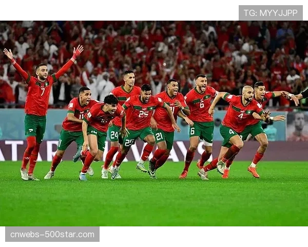 多家博彩公司调整世界杯夺冠赔率，新西兰仍居榜首，法国紧随其后